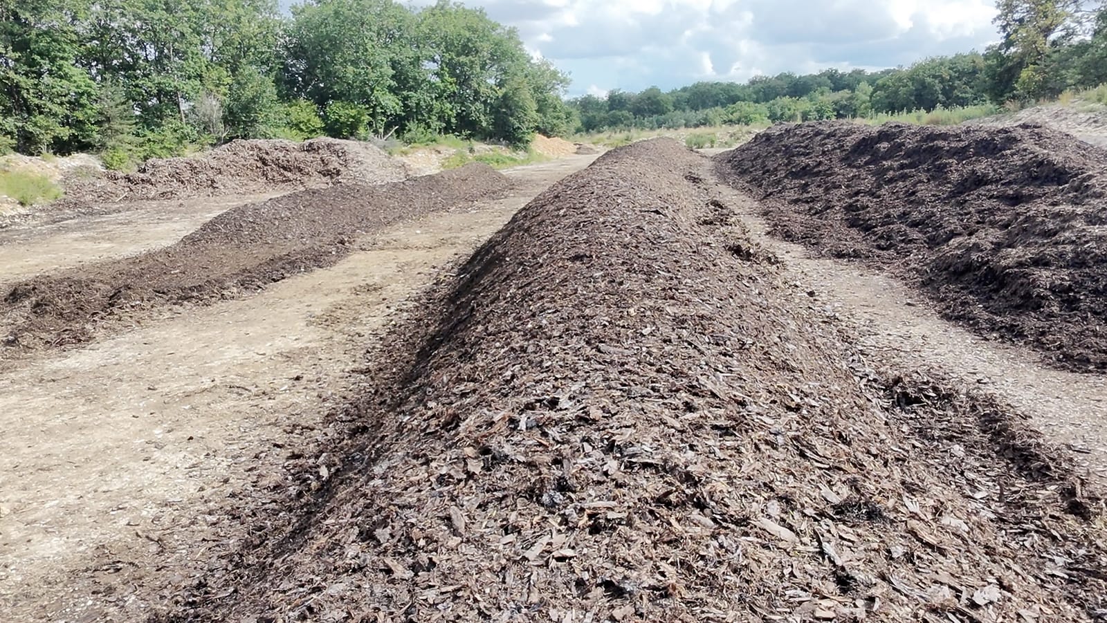 Andain de compost maison riche en humus, mélange de fumier bovin et d'écorce en cours de maturation